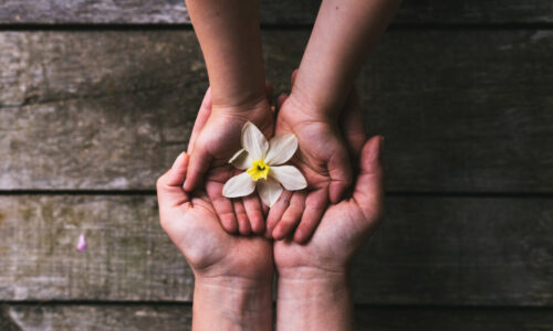 Child Protection